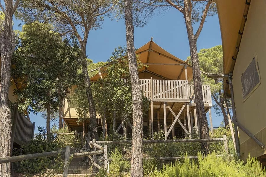 Senia-Group-Experience-Hospitality-Tourism