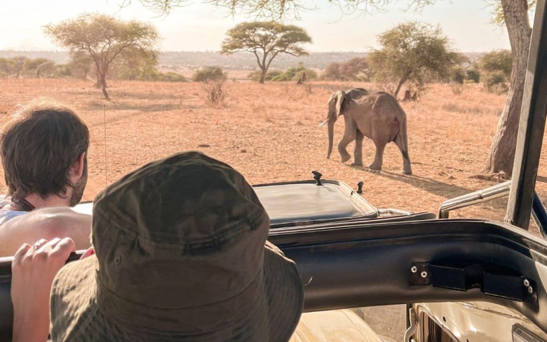 ¿Qué llevar a un safari?