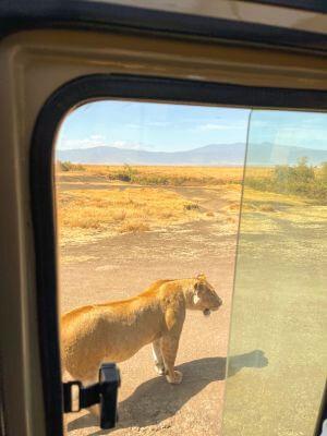 Andrea & Jordi, Girona