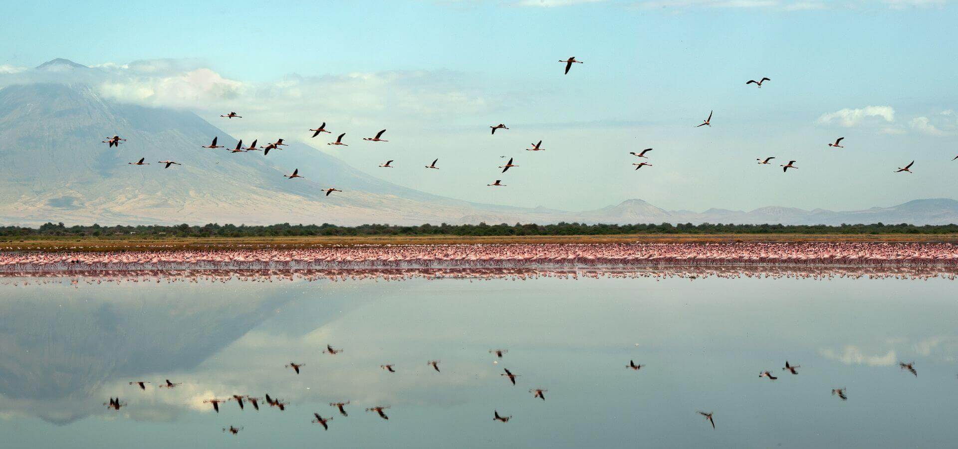 Lago Natron | S&egrave;nia Safari