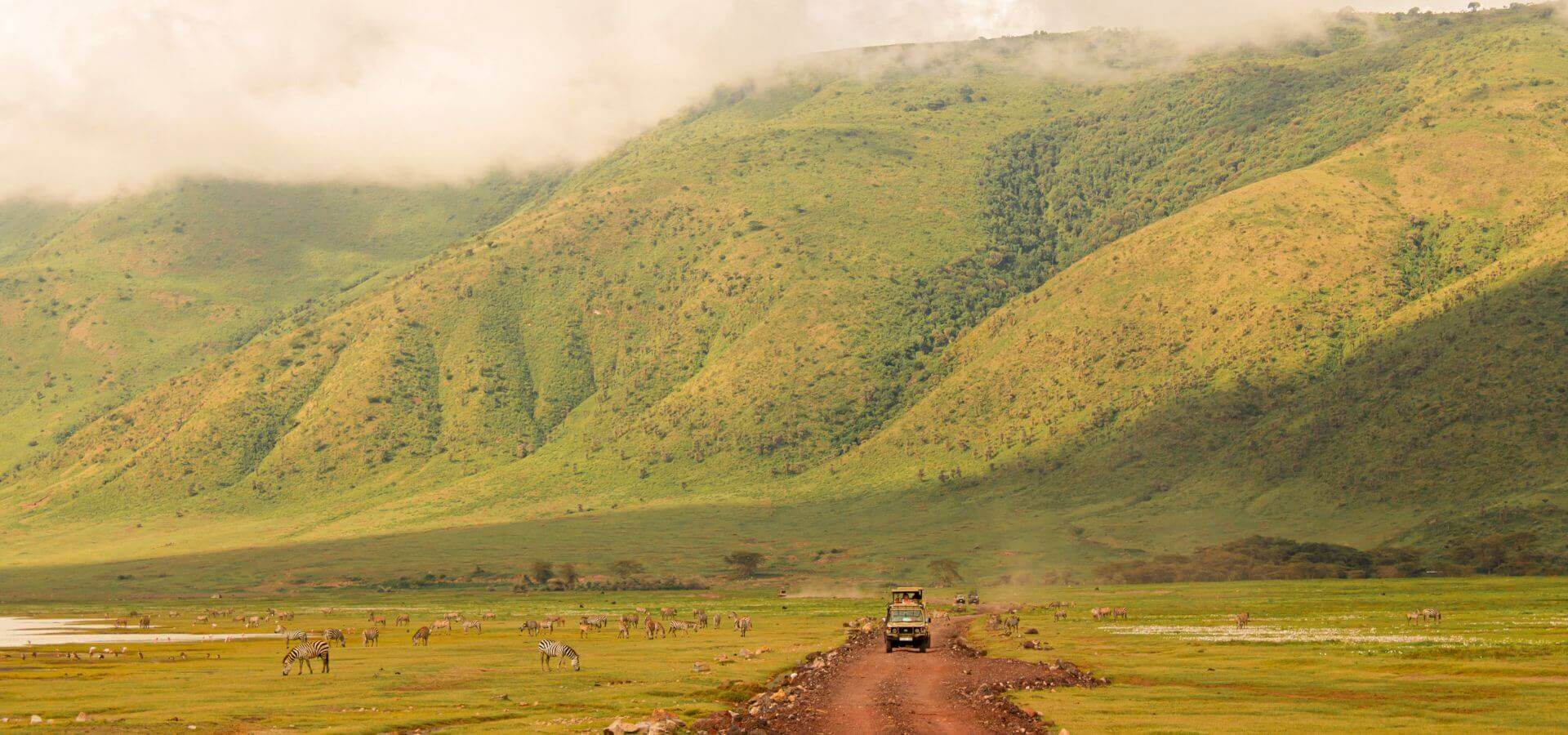 Tanzania | S&egrave;nia Safari