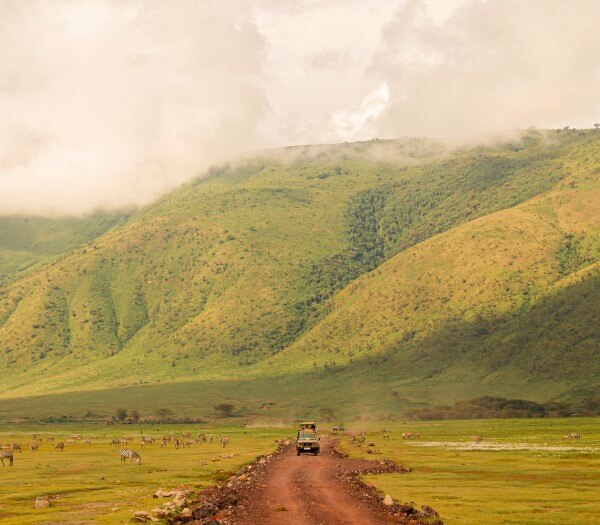 Ngorongoro | S&egrave;nia Safari