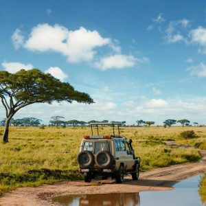 Safari + Zanz&iacute;bar | S&egrave;nia Safari