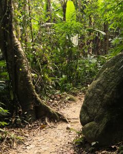 Caminata hasta Elephant Cave