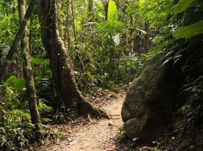 Caminata hasta Elephant Cave