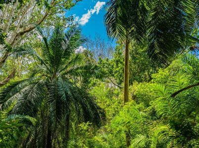 Vuelo en globo aerost&aacute;tico