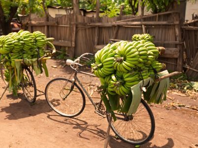 Vuelo en globo aerost&aacute;tico