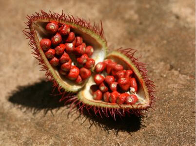 Vuelo en globo aerost&aacute;tico