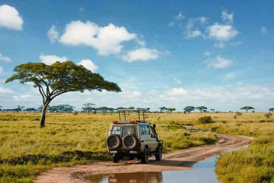 Safari + Zanz&iacute;bar | S&egrave;nia Safari