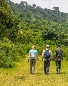 Parque Nacional de Arusha