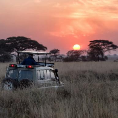 Tanzania | S&egrave;nia Safari